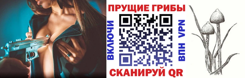 Псилоцибиновые грибы мицелий  Купить закладки  Ликино-Дулёво 